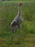 Yellow Black Blue - (Jess) on 3rd July 2012 Yellow Black Blue (Jess) on 3rd July 2012